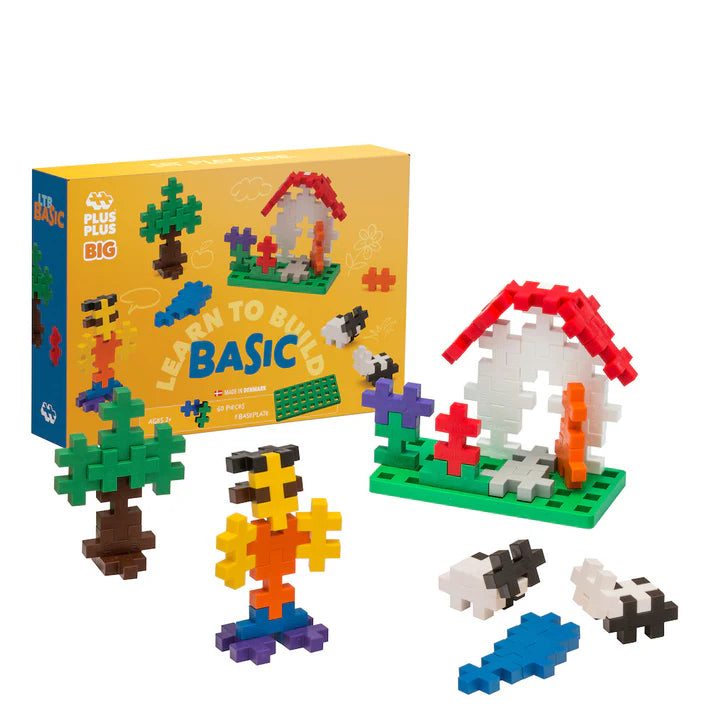 Big Learn To Build Plus Plus