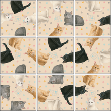 Load image into Gallery viewer, Cats Squzzle Puzzle