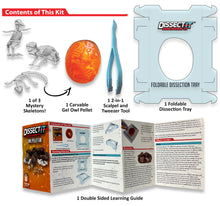 Load image into Gallery viewer, Dissect-It Mini Labs