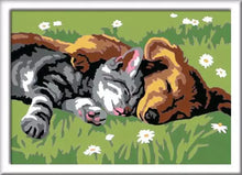 Load image into Gallery viewer, CreArt Sleeping Cat And Dog