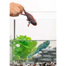 Load image into Gallery viewer, Chameleon