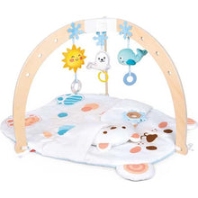 Load image into Gallery viewer, Snuggle Bear Activity Gym