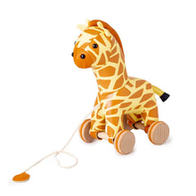 Load image into Gallery viewer, Gina The Giraffe Pull Along Friends