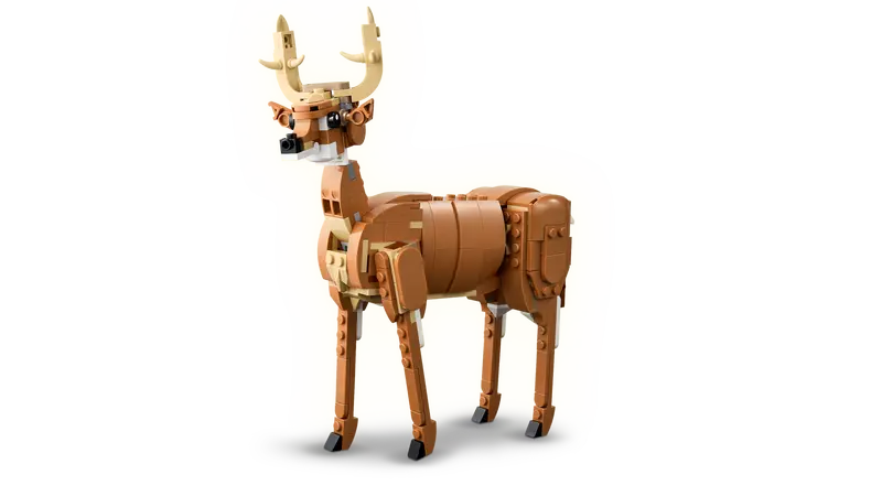 Creator Beautiful Horse
