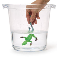 Load image into Gallery viewer, Camouflaged Critter Color Changing Lizard