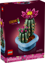 Load image into Gallery viewer, Botanicals Flowering Cactus