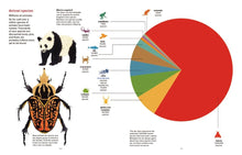 Load image into Gallery viewer, Our World By The Numbers Book