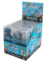 Load image into Gallery viewer, World's Smallest Mystery Box Capsule