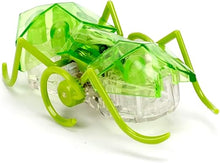 Load image into Gallery viewer, Hex Bots Robotic Micro Ant
