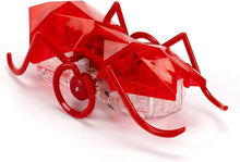 Load image into Gallery viewer, Hex Bots Robotic Micro Ant