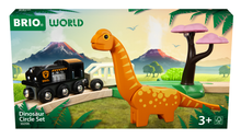 Load image into Gallery viewer, Dinosaur Circle Set