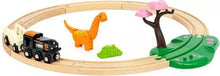 Load image into Gallery viewer, Dinosaur Circle Set