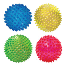Load image into Gallery viewer, Sensory Balls See-Me