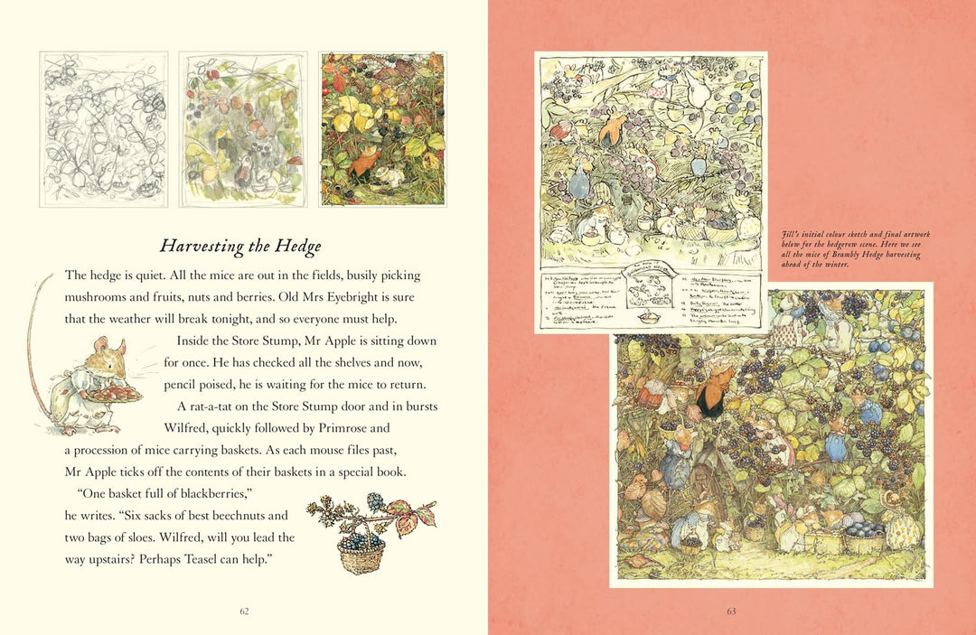 A Visit To Brambly Hedge Book