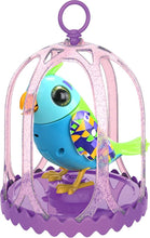 Load image into Gallery viewer, Digibirds Cage