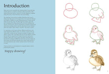Load image into Gallery viewer, How To Draw Baby Animals Book