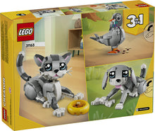 Load image into Gallery viewer, Creator Playful Cat