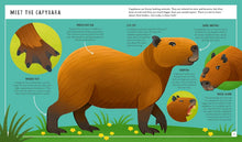 Load image into Gallery viewer, Capybara Book