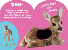 Load image into Gallery viewer, Baby Wild Animals Touch And Feel Board Book