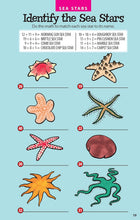 Load image into Gallery viewer, Awesome Undersea Activities For Kids Book