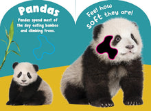 Load image into Gallery viewer, Baby Wild Animals Touch And Feel Board Book