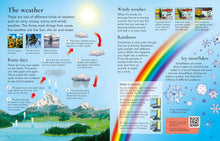Load image into Gallery viewer, Usborne Children's Encyclopedia Book