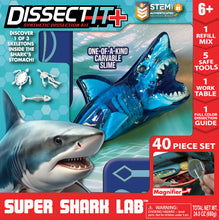 Load image into Gallery viewer, Dissect-It Shark Lab