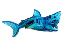 Load image into Gallery viewer, Dissect-It Shark Lab