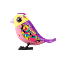 Load image into Gallery viewer, Digibirds Cage
