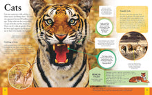 Load image into Gallery viewer, The New Children's Encyclopedia: Science, Animals, Human Body, Space And More! Book