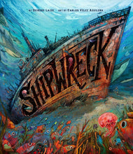 Load image into Gallery viewer, Shipwreck Book