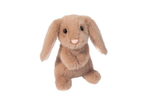 Load image into Gallery viewer, Barnyard Bunny