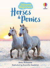 Load image into Gallery viewer, Beginners Horses &amp; Ponies Book