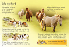 Load image into Gallery viewer, Beginners Horses &amp; Ponies Book