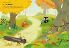Load image into Gallery viewer, Little First Stickers Nature Book