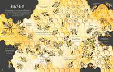 Load image into Gallery viewer, See Inside Bugs &amp; Butterflies Flap Book