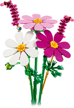 Load image into Gallery viewer, Botanicals Cosmos Flowers