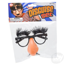 Load image into Gallery viewer, Disguise Glasses