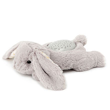 Load image into Gallery viewer, Dream Buddies Benny Bunny
