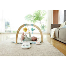 Load image into Gallery viewer, Snuggle Bear Activity Gym