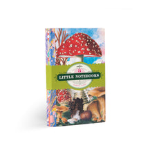 Load image into Gallery viewer, Fumiha's Little Book Set