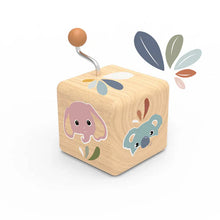 Load image into Gallery viewer, Music Box