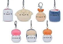 Load image into Gallery viewer, Pusheen Bento Surprise Blush Blind Box