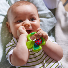 Load image into Gallery viewer, Shamrock Silicone Teether