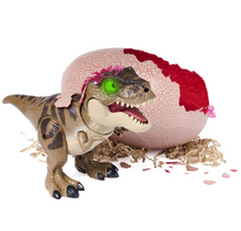 Load image into Gallery viewer, Jurassic World Primal Hatch Interactive Dinosaur &amp; Egg