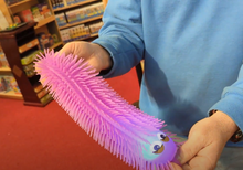 Load image into Gallery viewer, Shaggy Pickle 13" With LED