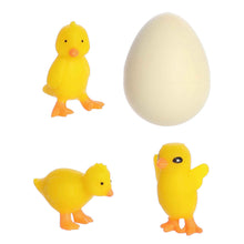 Load image into Gallery viewer, Hatch &amp; Grow Chick