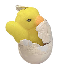 Load image into Gallery viewer, Hatch &amp; Grow Chick
