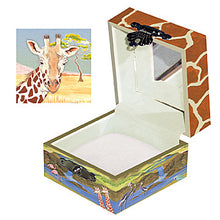 Load image into Gallery viewer, Savana Treasure Box