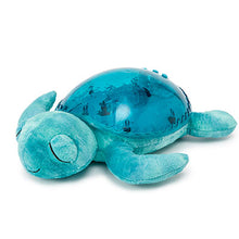 Load image into Gallery viewer, Aqua Tranquil Turtle